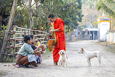 Local women giving offering of rice to young buddhist monks in early morning on Don Daeng island on the Mekong River, Muang, near Pakse, Champasak Province, Laos, Southeast Asia