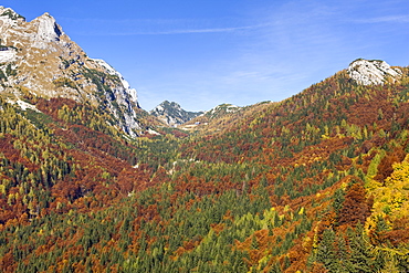 Autumn on the slopes of the Vrsic pass in the Julian Alps, Gorenjska, Slovenia, Europe