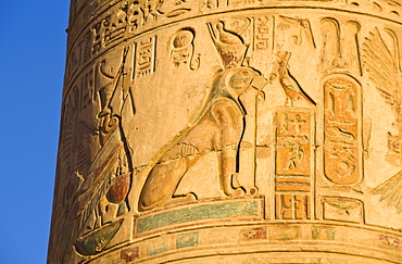 Painted pillar at the Temple of Sobek and Haroeris, Kom Ombo, Egypt, North Africa, Africa