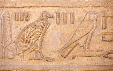 Vulture and falcon relief on the walls of the Great Courtyard at the Temple of Horus, Edfu, Egypt, North Africa, Africa