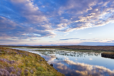 Evening reflections in a lochan on the peaty moreland of Lewis, with the mountains of Harris in the distance, Isle of Lewis, Outer Hebrides, Scotland, United Kingdom, Europe