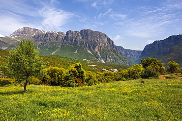 Wild flower meadow with the Astraka Towers and Vikos Gorge in the distance, Epirus, Greece, Europe