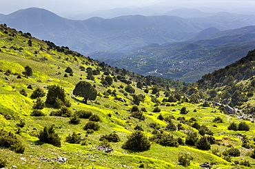 Early evening on the slopes below Astraka and above the Papingo villages, Epirus, Greece, Europe