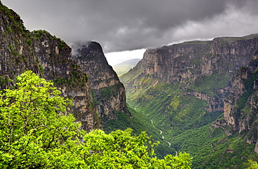 Rain and cloud over the Vikos Gorge from the Oxia viewpoint, Zagoria, Epirus, Greece, Europe