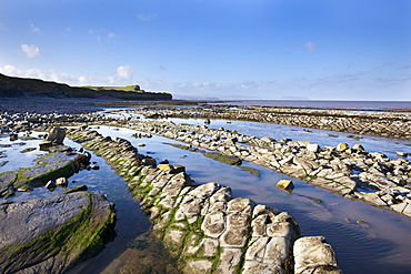 Limestone and shale rock formations on the shore at Kilve, Somerset, England, United Kingdom, Europe