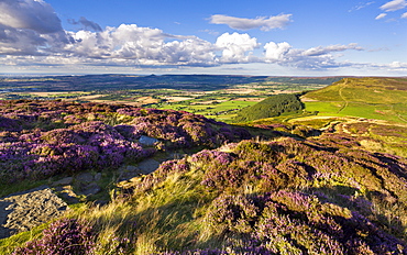 Busby Moor, North Yorkshire, Yorkshire, England, United Kingdom, Europe