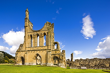 The ruins of Byland Abbey, North Yorkshire, Yorkshire, England, United Kingdom, Europe