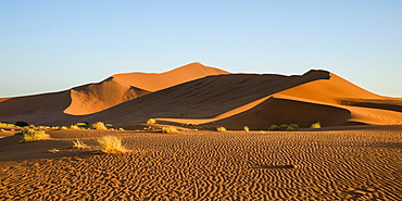 Evening light on the sand dunes at Sossusvlei, Namib Naukluft, Namibia, Africa