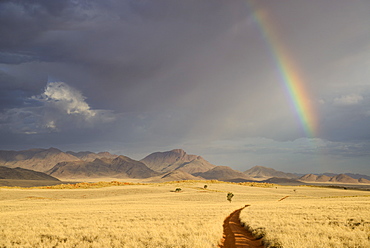 Storm clouds and rainbow in the early evening in NamibRand Nature Reserve, Namib Desert, Namibia, Africa 