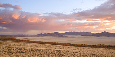 Some much needed rain falls in the distance at dusk in NamibRand Nature Reserve, Namib Desert,  Namibia, Africa