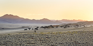 The sun starts to light up the distant mountains in the NamibRand Nature Reserve, Namib Desert, Namibia, Africa 