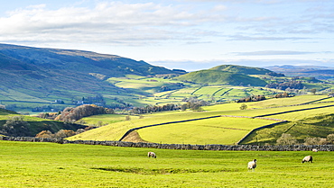 View towards Elbolton, Kail Hill and Stebden Hill from Appletreewick Pastures in autumn, North Yorkshire, Yorkshire, England, United Kingdom, Europe