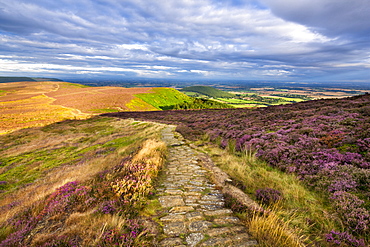 Clouds gather above the Cleveland Way and the heather-clad Little Bonny Cliff, North Yorkshire Moors, Yorkshire, England, United Kingdom, Europe