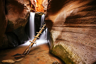 Kanarra Creek Canyon, Kanarraville, Utah, United States of America, North America