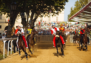 Palio di Asti, Asti, Piedmont, Italy, Europe