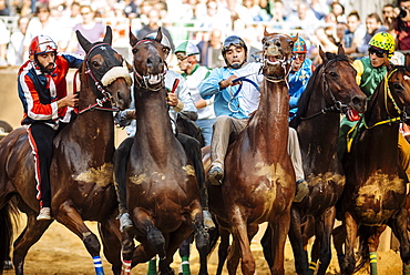 Palio di Asti, Asti, Piedmont, Italy, Europe