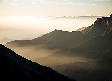 Dawn light from Top Station, Kerala, India, South Asia