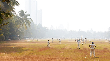 Cricket at Oval Maidan, Mumbai (Bombay), India, South Asia