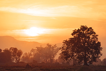 Sunset over Paddy fields near Hsipaw, Shan State, Myanmar (Burma), Asia