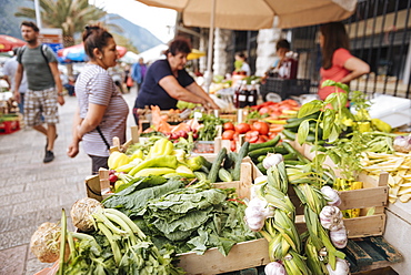 Market, Kotor, Bay of Kotor, Montenegro, Europe