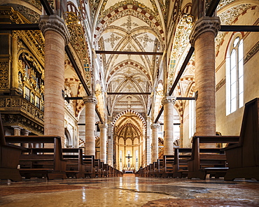 Interior of Basilica of Santa Anastasia, Verona, Veneto Province, Italy, Europe