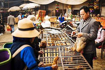 Women bartering over chicken sale at Xinjie Local Market, Yuanyang, Yunnan Province, China, Asia