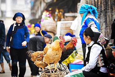 Xinjie Local Market, Yuanyang, Yunnan Province, China, Asia