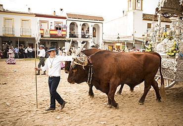 Pilgrimage of El Rocio, Huelva district, Andalucia, Spain, Europe