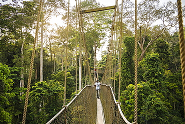 Canopy Walkway through tropical rainforest in Kakum National Park, Ghana, Africa