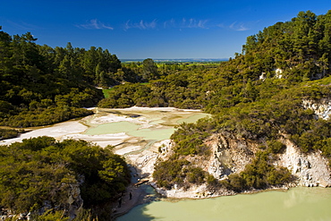 Wai-O-Tapu Thermal Wonderland, North Island, New Zealand, Pacific