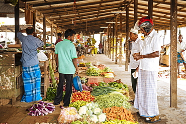 Jaffna, Northern Province, Sri Lanka, Asia