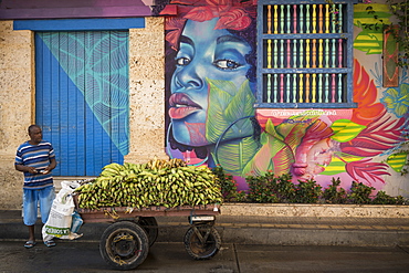 Banana stall, Getsemani Barrio, Cartagena, Bolivar Department, Colombia, South America