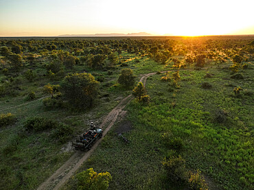 Sunset over Safari drive in Timbavati Private Nature Reserve, Kruger National Park, South Africa, Africa