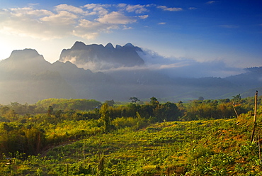 Khao Sok National Park, Surat Thani Province, Thailand, Southeast Asia, Asia