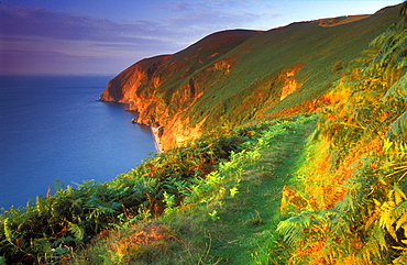 Countisbury Hill, Exmoor National Park, Devon, England, United Kingdom, Europe