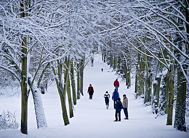 Hampstead Heath in winter, North London, England, United Kingdom, Europe