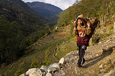 Tikhedhunga Village, Annapurna Himal, Nepal, Himalayas, Asia