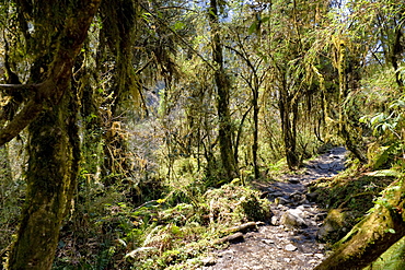 Modi Khola Valley, Annapurna Himal, Nepal, Himalayas, Asia