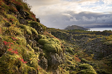 Thingvellir National Park, UNESCO World Heritage Site, Iceland, Polar Regions 