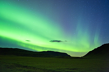 The Northern Lights (Aurora Borealis), Vik, Iceland, Polar Regions 