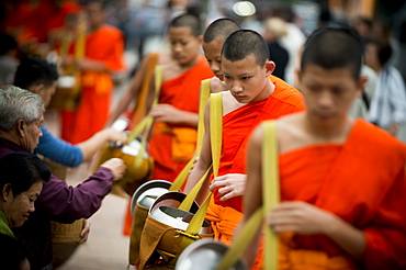 Buddhist Monks during Alms giving ceremony (Tak Bat), Luang Prabang, Laos, Indochina, Southeast Asia, Asia