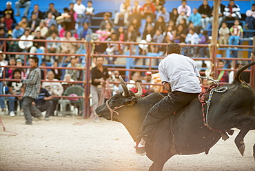 Rodeo at Santa Cruz Papalutla, Oaxaca, Mexico, North America