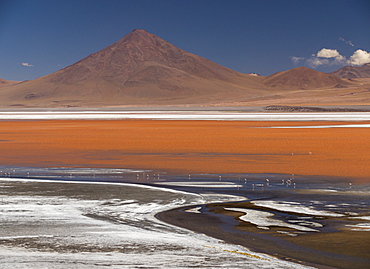 Laguna Colorada, Reserva Eduardo Avaroa, Bolivia, South America