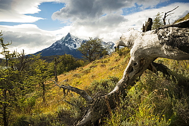 Torres del Paine National Park, Patagonia, Chile, South America