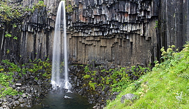 Svartifoss Waterfall, Skaftafell National Park, Iceland, Polar Regions