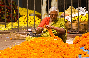 Elderly woman stringing marigold flowers into garlands in the market, Bangalore, Karnataka, India, Asia