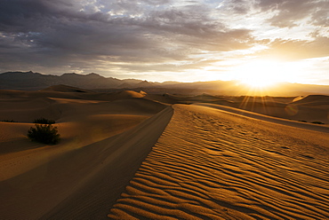 Mesquite Sand Dunes at dawn, Death Valley National Park, California, United States of America, North America