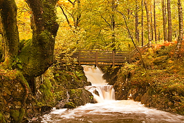 The waters of Launchy Gill in the Lake District in full flow after heavy autumn rainfall, Lake District, Cumbria, Englanbd, United Kingdom, Europe