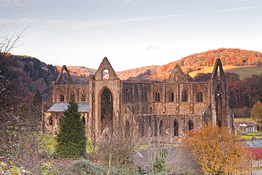 Tintern Abbey, founded by Walter de Clare, Lord of Chepstow, in 1131, Tintern, Monmouthshire, Wales, United Kingdom, Europe