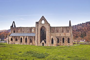 Tintern Abbey, founded by Walter de Clare, Lord of Chepstow, in 1131, Tintern, Monmouthshire, Wales, United Kingdom, Europe